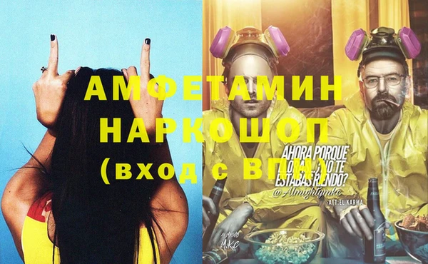 крисы Бронницы