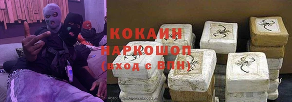 крисы Бронницы