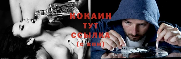 крисы Бронницы