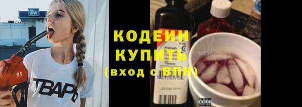 крисы Бронницы
