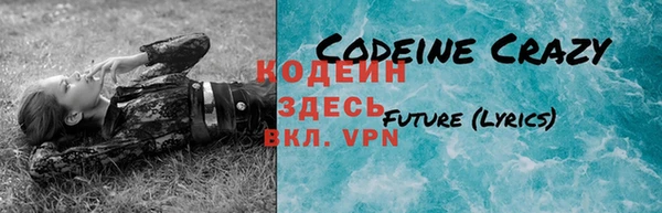 крисы Бронницы