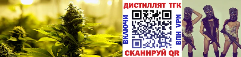 Купить где  Пошехонье  Дистиллят ТГК концентрат 