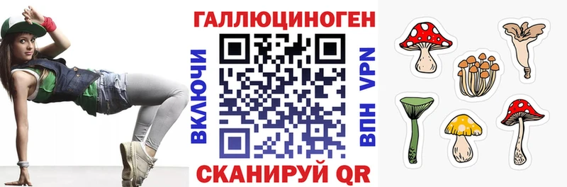 Купить  Пошехонье  Галлюциногенные грибы прущие грибы 